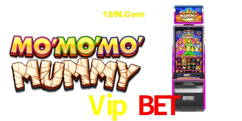 Security Systems 66Vip Bet